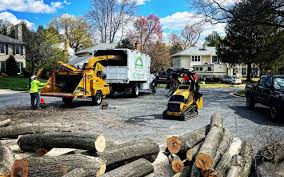 Why Choose Our Tree Removal Services in Boonsboro, MD?