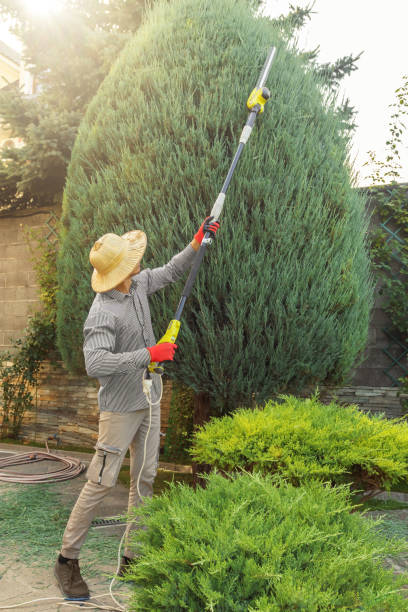 Best Tree Preservation Services  in Boonsboro, MD